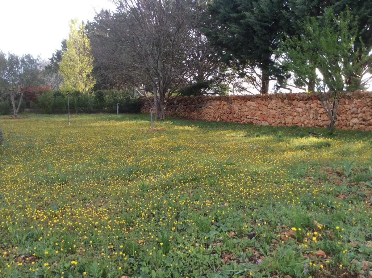 Villa Faro Provence Var Montfort-sur-Argens Экстерьер фото